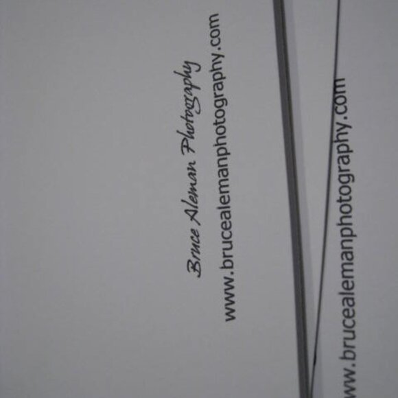 Lot of 4 Real Photo Art Print Cards Lot #2 - Picture 7 of 7